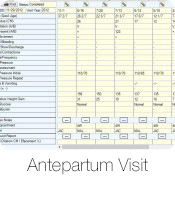 Antepartum Screen - 
Antepartum visits follow the same format as the ACOG Antepartum visits. Visits are displayed in columns so that the visits can be seen consecutively. When a patient comes in for a visit within a pregnancy, a new visit is created which will display a column to enter in the values for the antepartum exam.