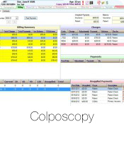 Billing Summary Screen - The patient chart resembles a paper chart; tabs at the top divide the chart into sections of relevant information for an ob/gyn practice so you can quickly locate information in the chart. Within the summary screen, a provider can effortlessly identify date and results of pap smears, mammograms, encounters, and list of active medications.