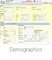 Demographics - The text for demographics will go here.